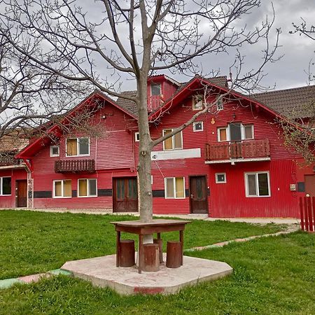 Pensiunea Irina 3 Zărneşti Exterior foto