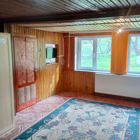 Pensiunea Irina 3 Zărneşti Exterior foto