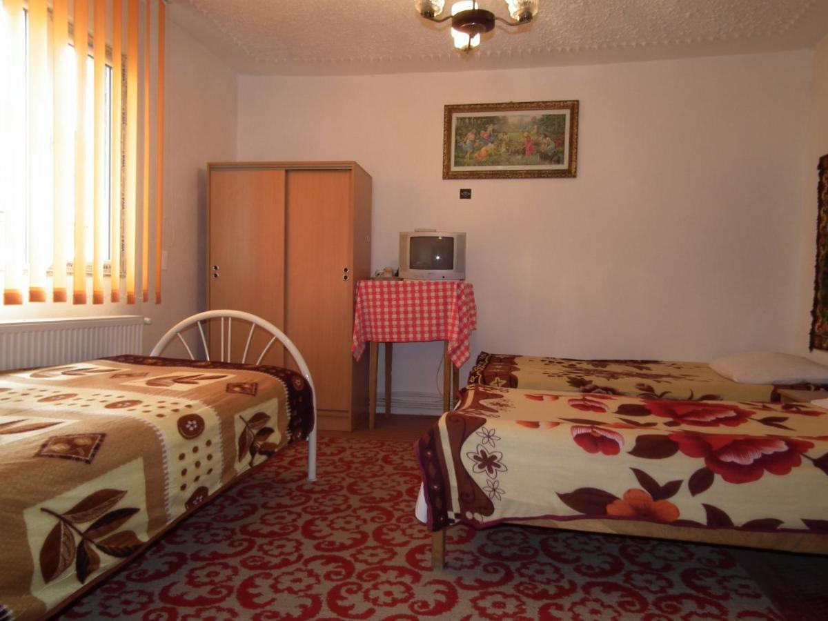 Pensiunea Irina 3 Zărneşti Exterior foto