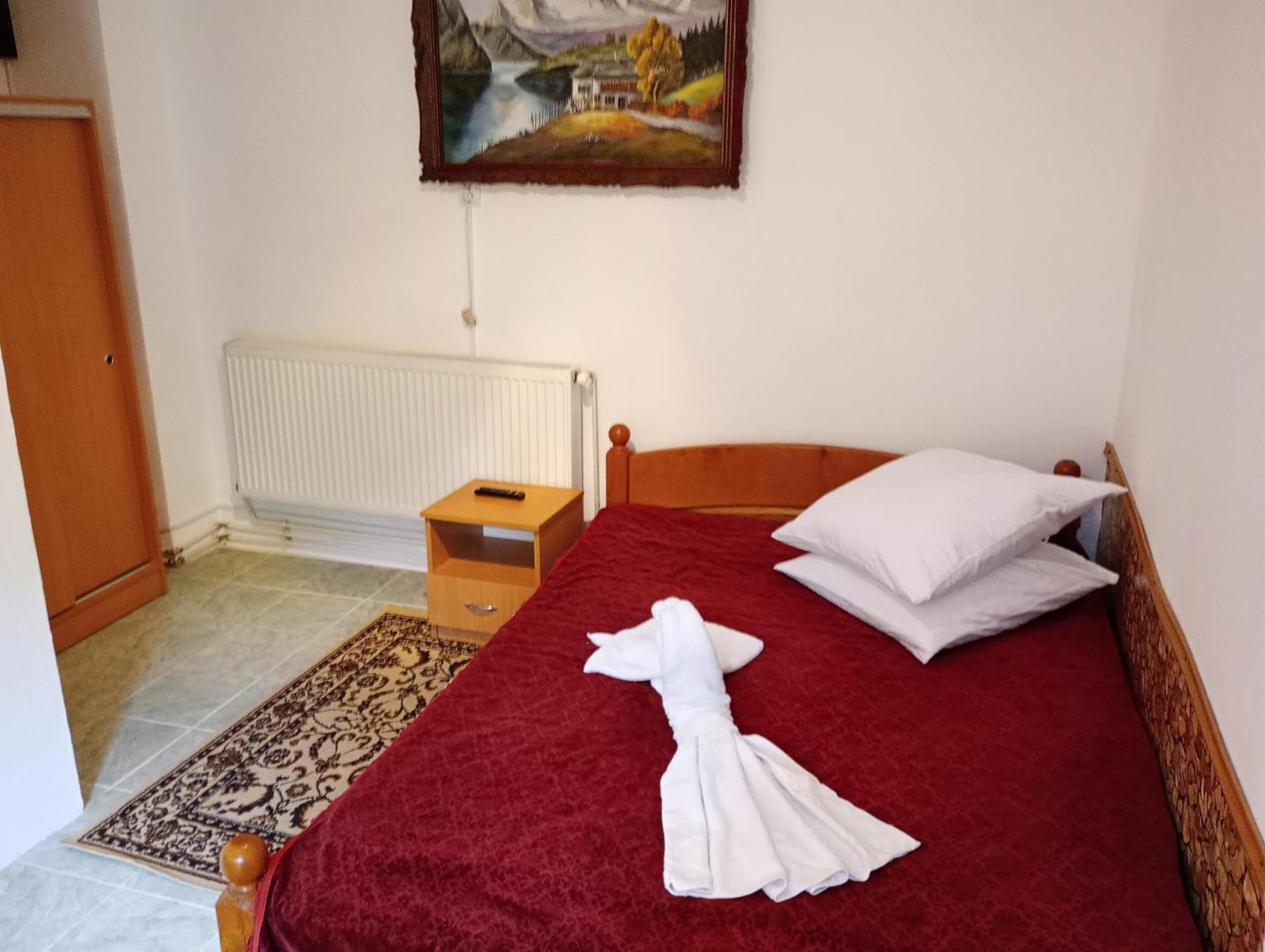 Pensiunea Irina 3 Zărneşti Exterior foto