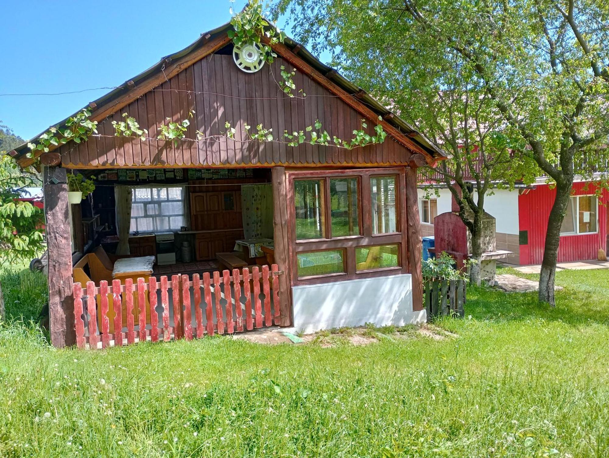 Pensiunea Irina 3 Zărneşti Exterior foto