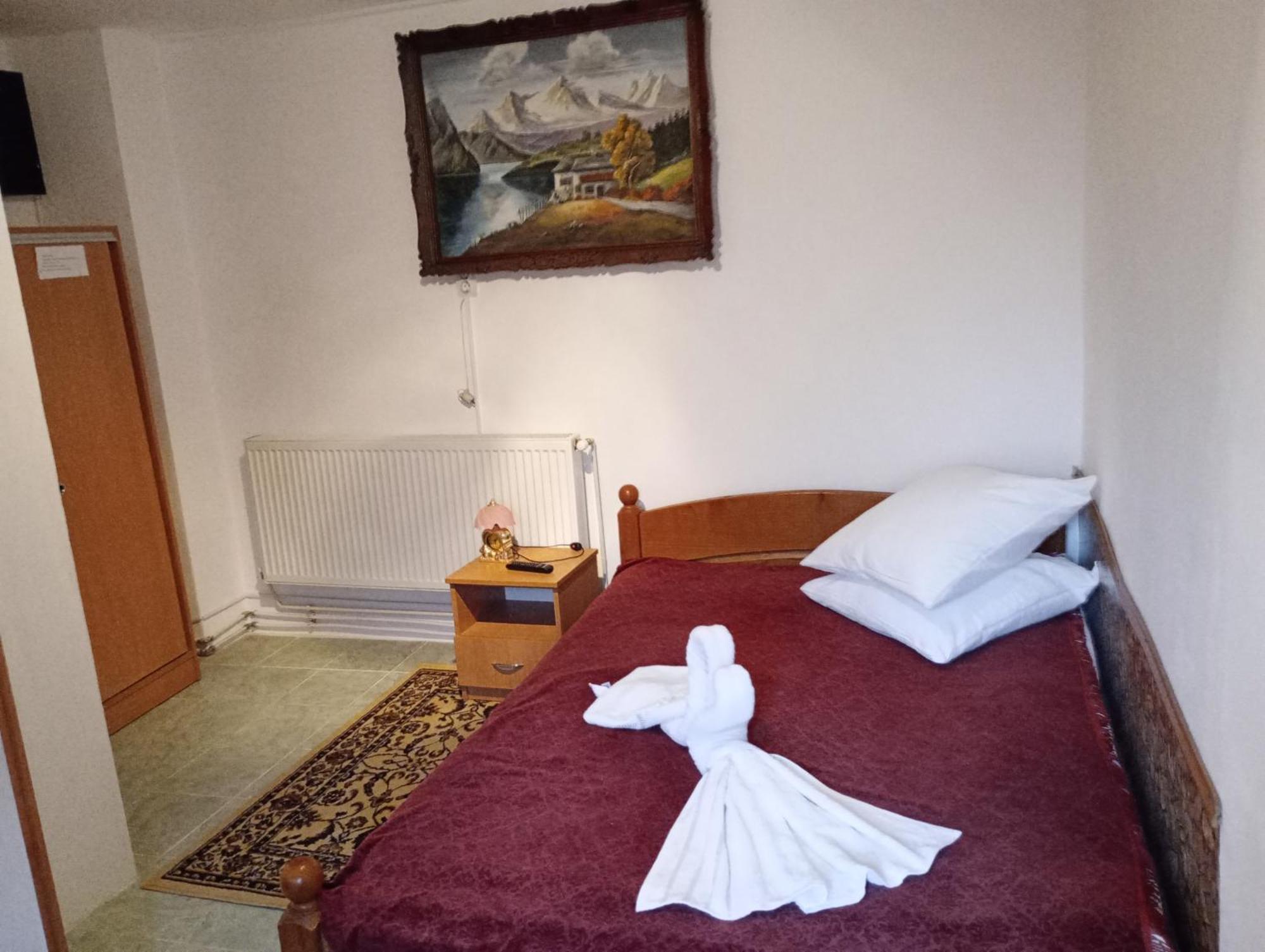 Pensiunea Irina 3 Zărneşti Exterior foto