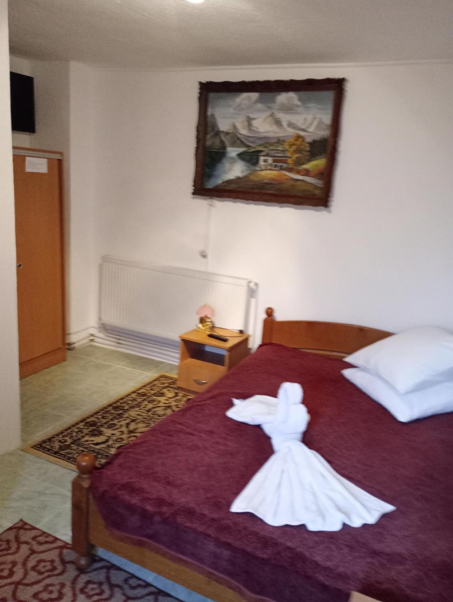 Pensiunea Irina 3 Zărneşti Exterior foto