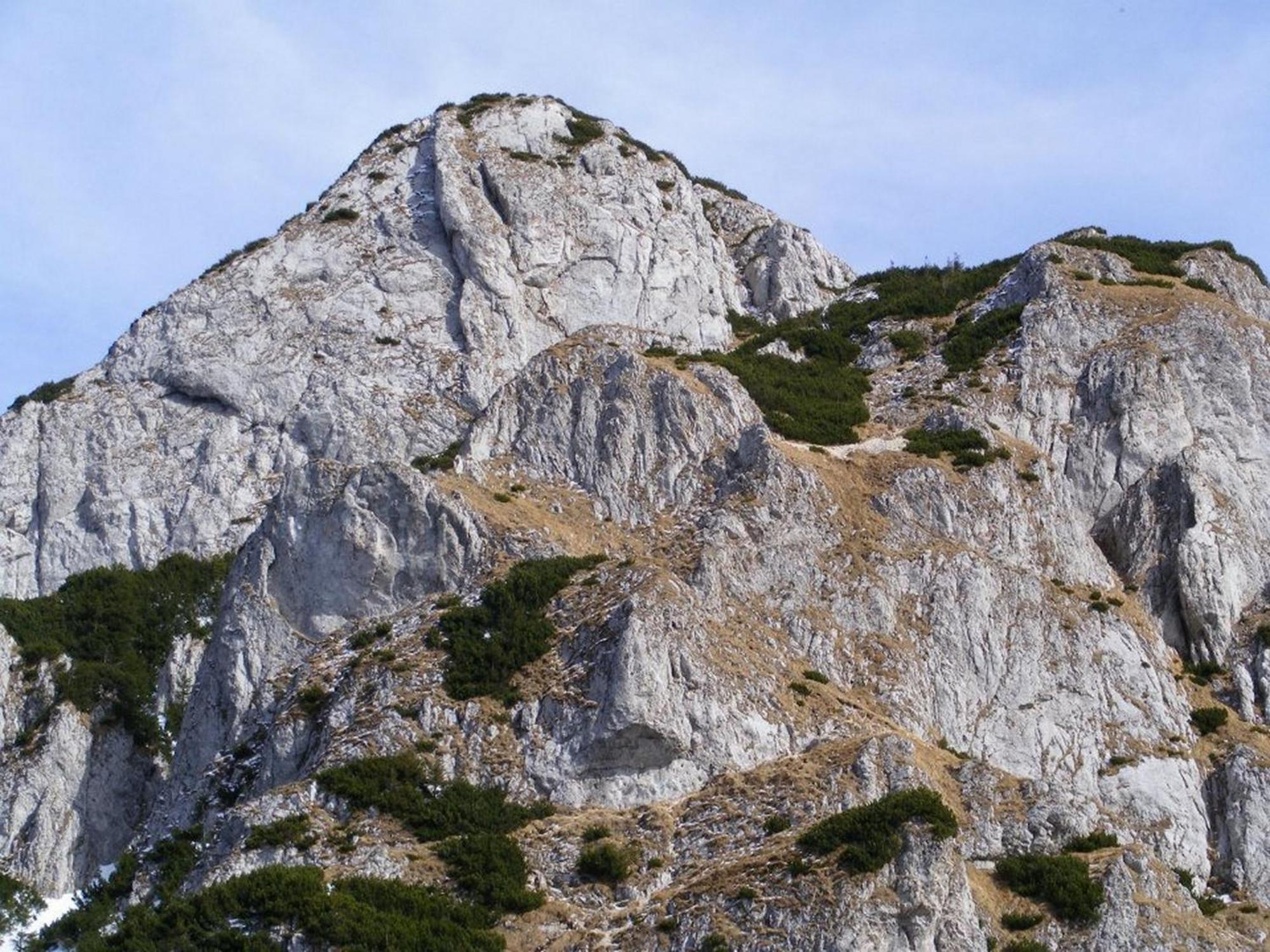 Pensiunea Irina 3 Zărneşti Exterior foto