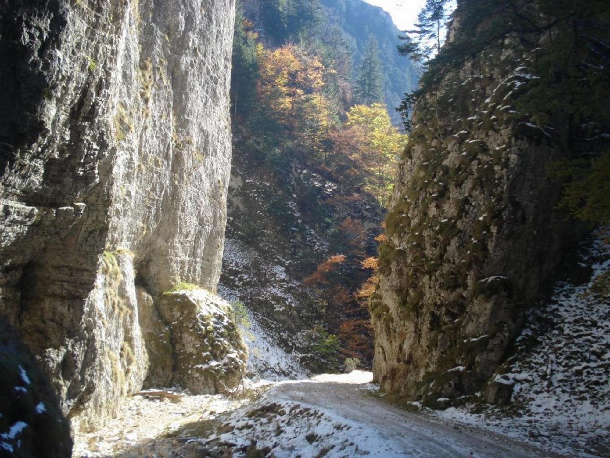 Pensiunea Irina 3 Zărneşti Exterior foto