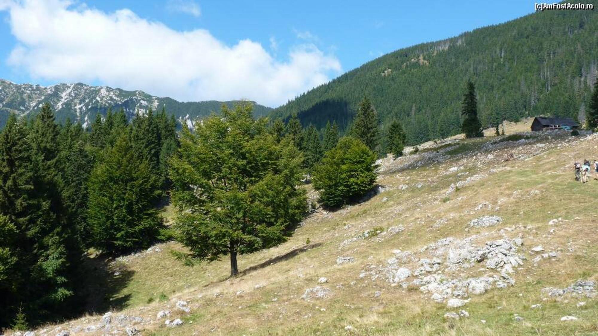 Pensiunea Irina 3 Zărneşti Exterior foto